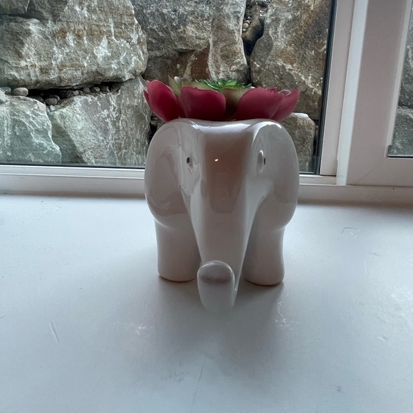 Artificial faux succulent plant - Picture 4 of 6